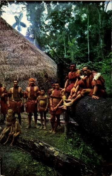 Postcard Colombia, Amazon