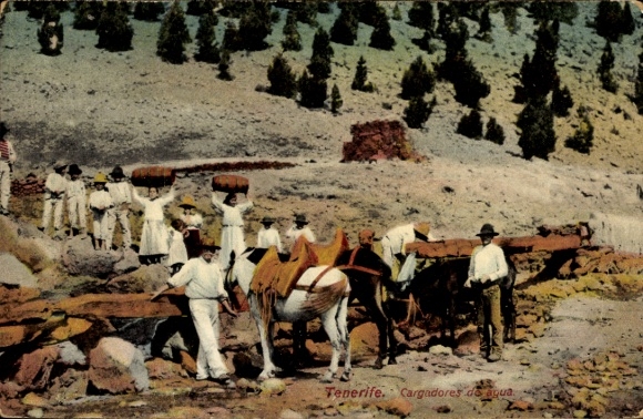 Postcard Tenerife Tenerife Canary Islands Spain, water carriers, horses, mountain landscape