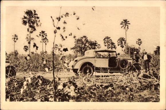 Postcard Haute Volta Burkina Faso, Un Aspect de la Brousse, Voiture et Palmiers