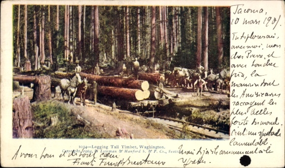 Postcard Washington USA, Logging tall timber, railway line, transporting tree trunks from the forest