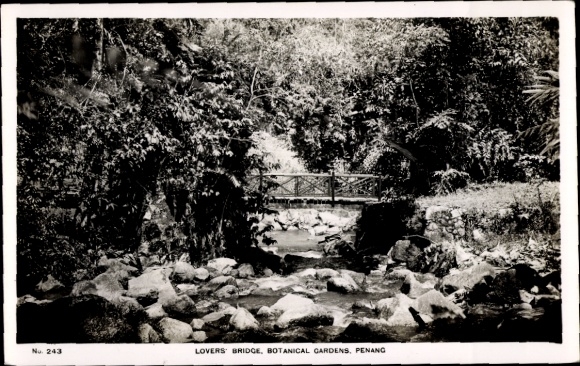 Postcard Penang Malaysia, Lovers Bridge, Botanical Gardens, Bridge, Nature, Black and White