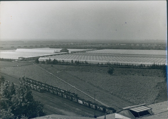 Photo of Wiesmoor in East Frisia, greenhouses, panorama