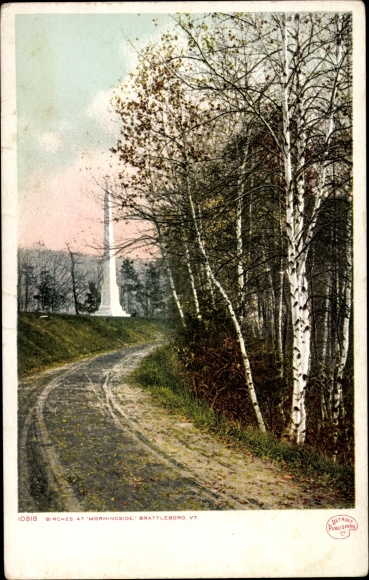 PC Brattleboro Vermont USA, birch trees at Morningside