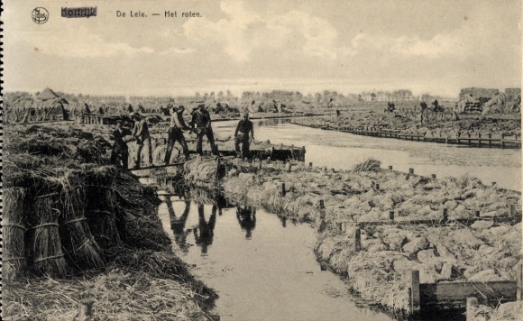 Postcard Kortrijk Kortrijk West Flanders, Lily, Retting