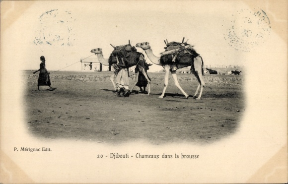 Postcard Djibouti Djibouti, camels, desert, person with load