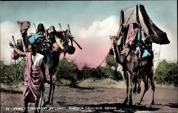 Postcard Family Transport by Camel, Kassala Province Sudan