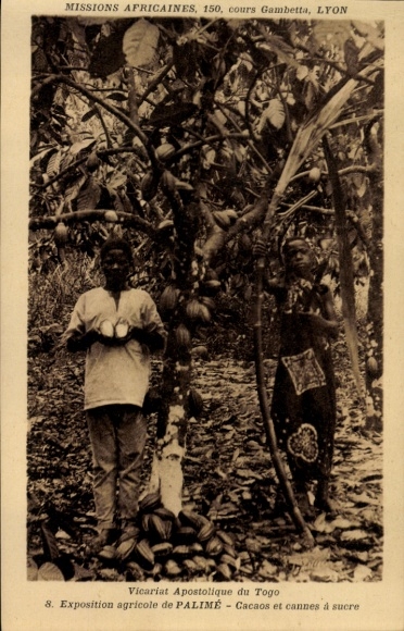 Postcard Palimé Togo, Vicariat Apostolique, Exposition agricole, Cacaos et cannes à sucre, cocoa beans