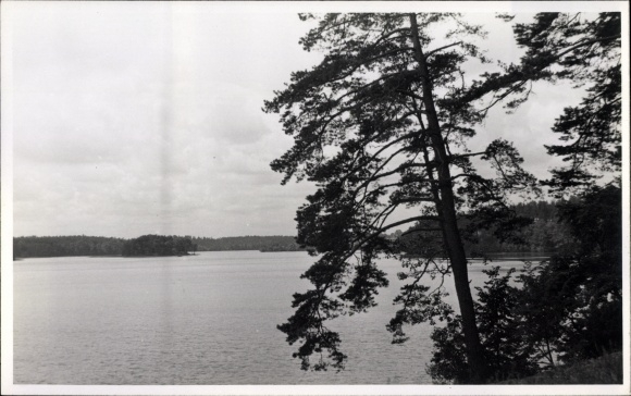 Photo Postcard See unknown