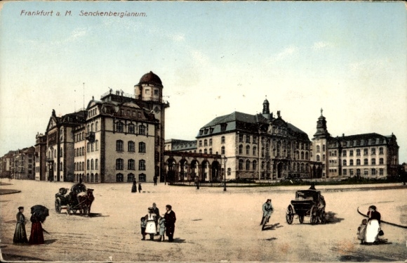 Frankfurt am Main University, Frankfurt a. M., Senckenbergianum, building, road traffic