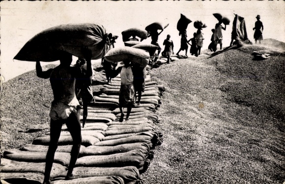 Postcard Kaolack Senegal, workers transporting peanut harvest