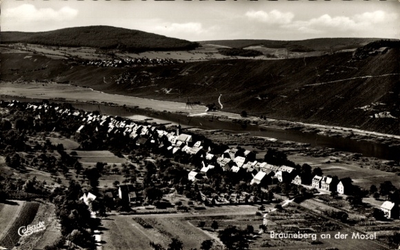 Brauneberg on the Moselle, landscape, river, houses, trees