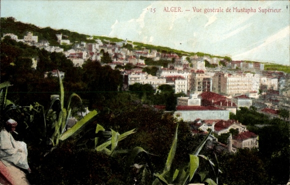 Postcard Mustapha Algiers Algeria, overall view
