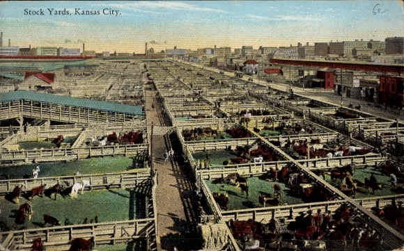 Postcard Kansas City Kansas USA, Stock Yards, lively cattle markets, large stables, numerous cattle