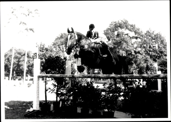 Photo Postcard show jumping, jumping over an obstacle