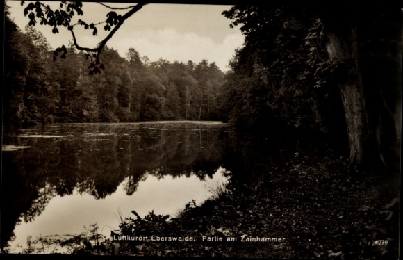 Eberswalde station, at Zainhammer