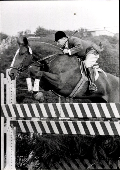 Photo Postcard show jumping, jumping over an obstacle