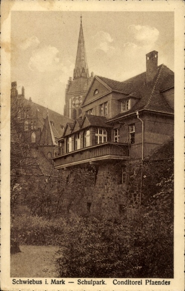 Postcard Świebodzin Schwiebus East Brandenburg, School Park, Conditorei Pfaender