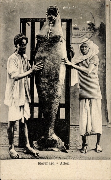 Postcard Aden Yemen, Mermaid, Mermaid, Dugong, Sea Cow