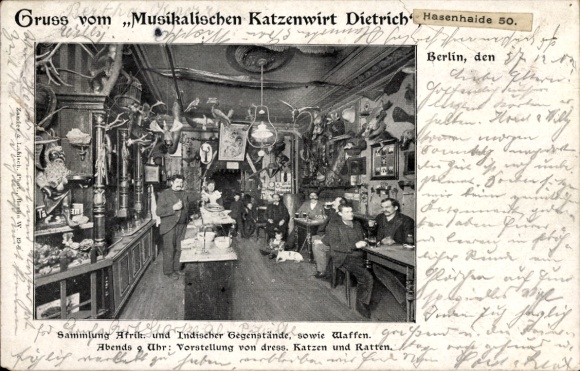 Postcard Berlin Kreuzberg, Musical Cat Host Dietrich, Hasenhaide 50
