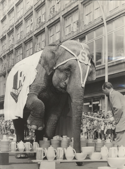 Original photo by Hans-Joachim Spremberg, HO department store, Elephant in a China Shop, Berlin around 1970