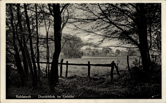 Postcard Hamburg Wandsbek Rahlstedt, view through the woods