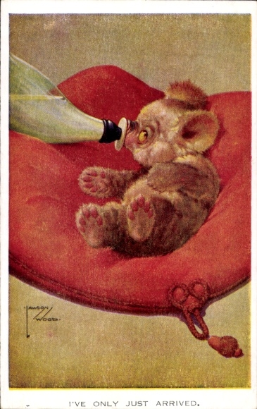 Artist Postcard Wood, Lawson, Little Bear is bottle fed