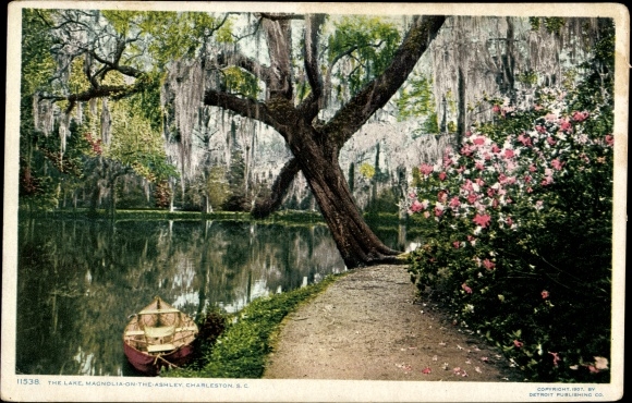 PC Charleston South Carolina United States, Magnolia on the Ashley, Lake
