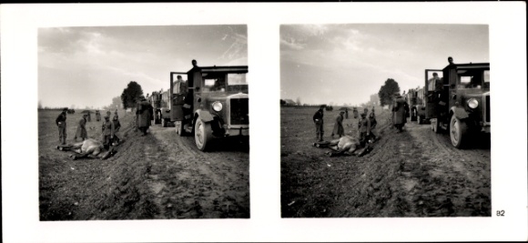 Stereo spatial image photo "The Leader's Soldiers in the Field", No. 82, Fallen Horse, Advance Road