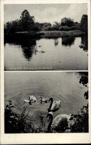 Postcard Hamburg Wandsbek Rahlstedt Altrahlstedt, Swans in the mill pond