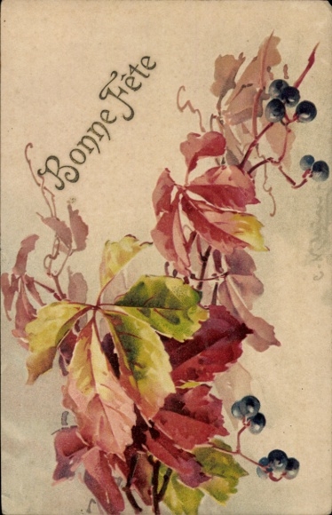 Artist Postcard Klein, Catharina, congratulations, Wild Vine