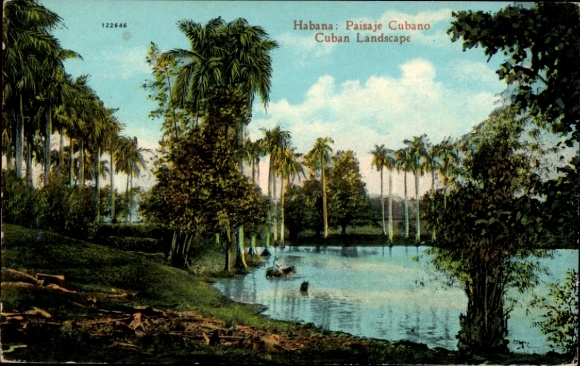 Postcard Havana Havana Habana Cuba, landscape with palm trees, water, boat, Cuba, colorful