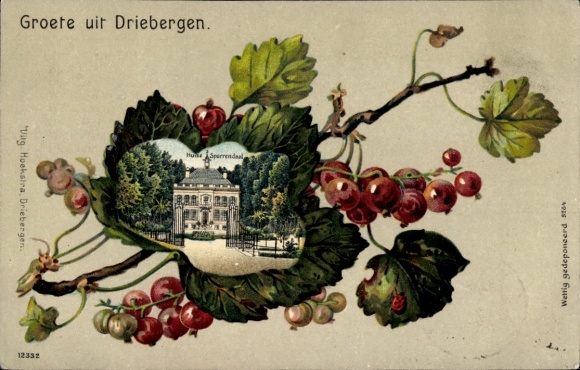 Currant Passepartout Chromo-Litho Driebergen Utrecht Netherlands, Huize Sparrendaal