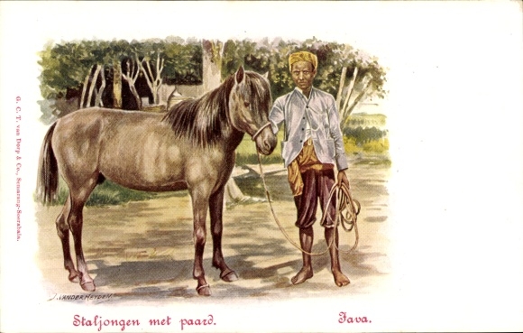 Artist Postcard Java Indonesia, Staljongen met paard