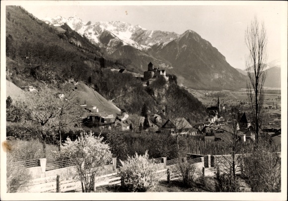 PC Vaduz Liechtenstein, panorama, castle