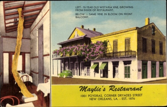 Postcard New Orleans Louisiana USA, 70-year-old Wisteria, Restaurant, Balcony, Maylie's Restaurant