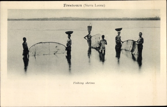 Postcard Freetown Sierra Leone, shrimp fishing