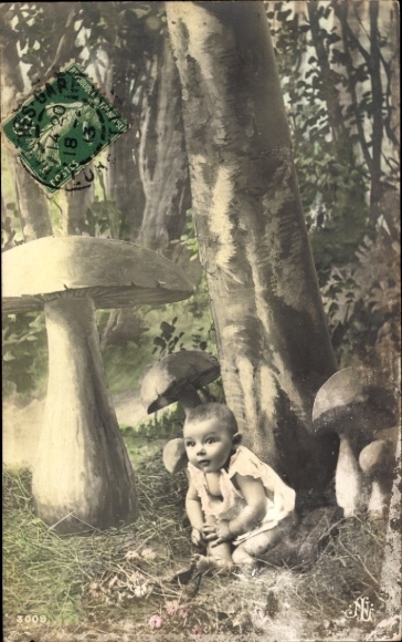 Postcard Child in the forest, mushrooms, trees