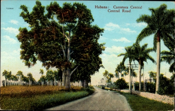 Postcard Havanna Habana Cuba, landscape with palm trees, road, fields, Cuba