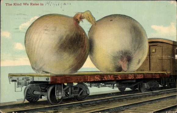 Postcard USA, The kind we raise in, onions on a freight train