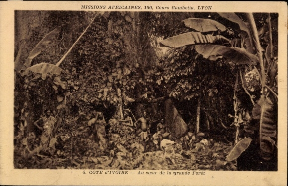 Postcard Ivory Coast, In the heart of the great forest