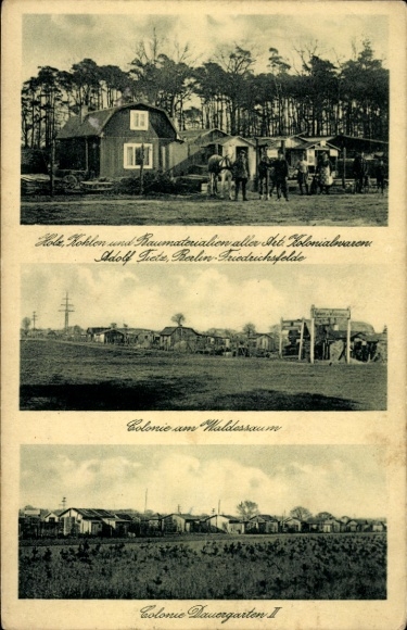 Postcard Berlin Lichtenberg Friedrichsfelde, Adolf Tietz shop, Colony at the edge of the forest, Permanent Garden II