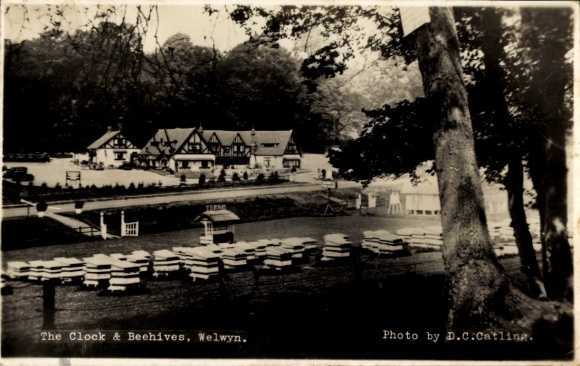 PC Welvyn Hertfordshire England, The Clock & Beehives