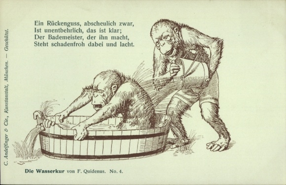 Artist Postcard Quidenus, Fritz, The Water Cure No. 4, humanized monkeys, back cast