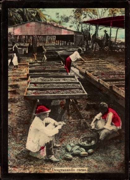 Photo Costa Rica, shelling cacao