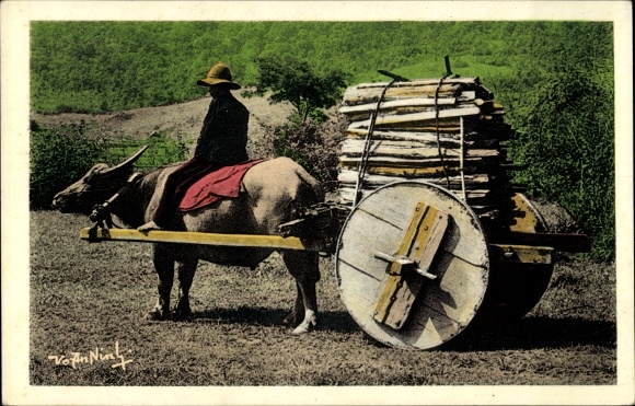Postcard Xieng Khouang Laos, Büffelgespann