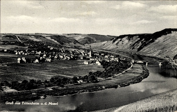 Postcard Trittenheim on the Moselle, general view