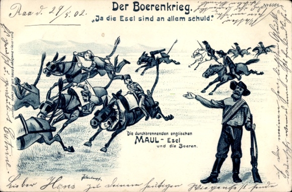 Artist's lithograph, South Africa, Boer War, Runaway English mules