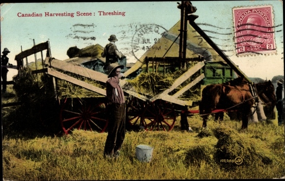 Postcard Canadian Harvesting Scene, Threshing