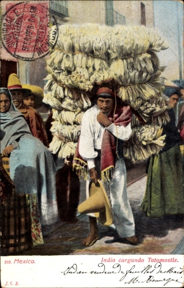 Postcard Mexiko, Indio cargando Totomostle, Man carrying dried corn leaves