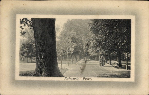 Embosser Passepartout Postcard Cluj Napoca Klausenburg Kolozsvar Romania, Street